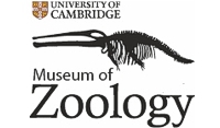 Cambridge University Museum of Zoology